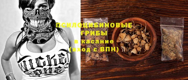 ПСИЛОЦИБИНОВЫЕ ГРИБЫ Балабаново