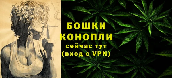 ПСИЛОЦИБИНОВЫЕ ГРИБЫ Балабаново